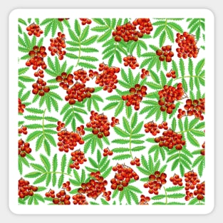 Rowan Berry Pattern in Gouache Sticker